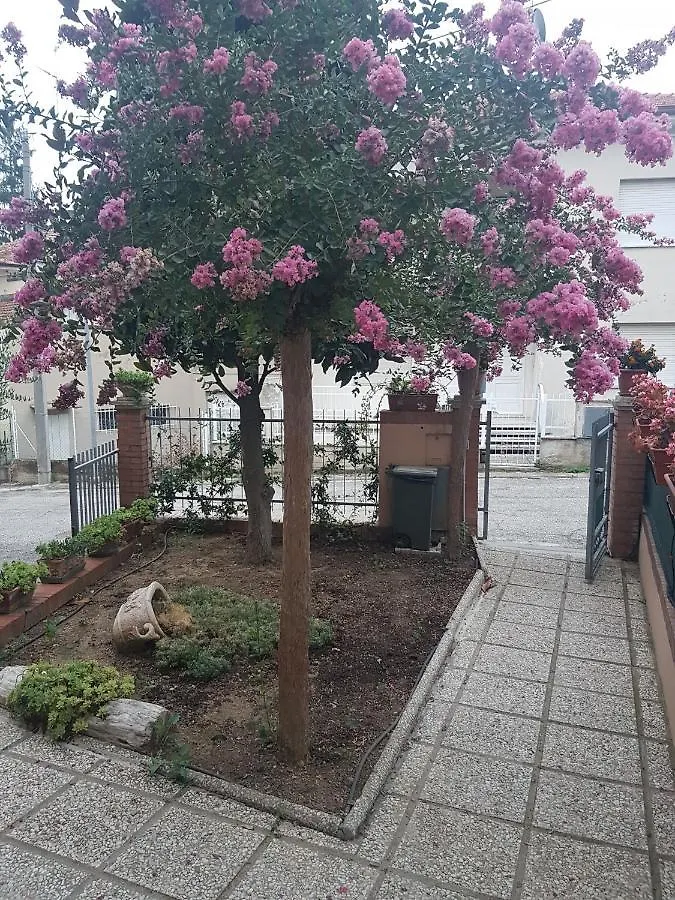 Casarava Sul Parco 2 Διαμέρισμα Ριτσόνε